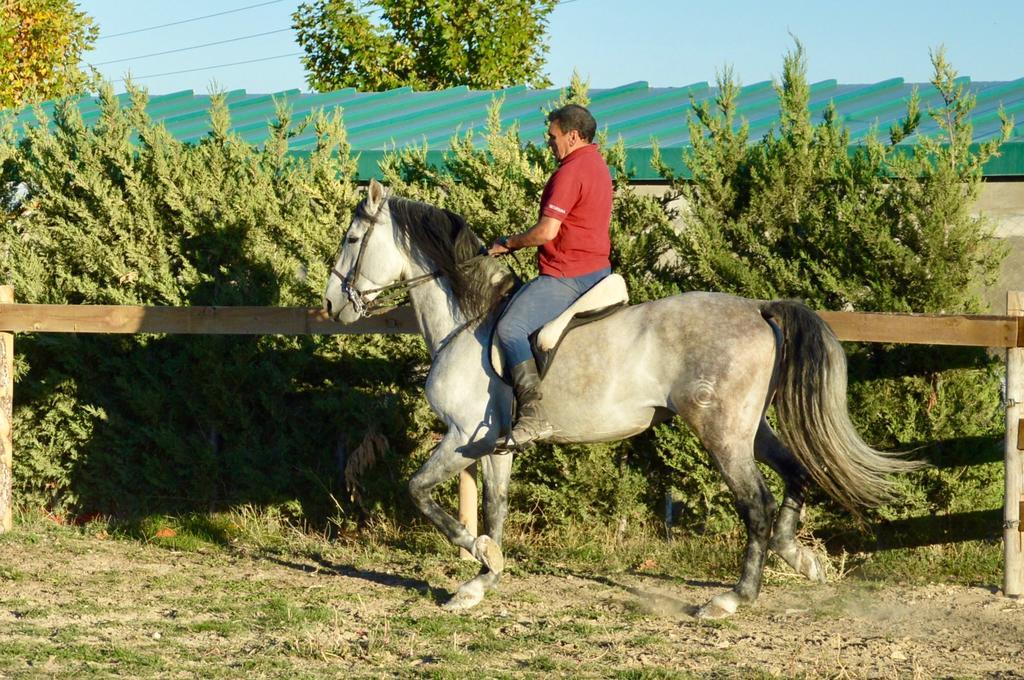 Rural Reillo Alojamientos Rurales Kültér fotó