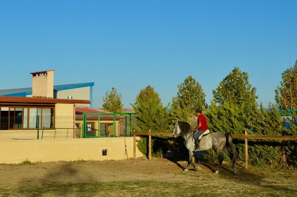 Rural Reillo Alojamientos Rurales Kültér fotó